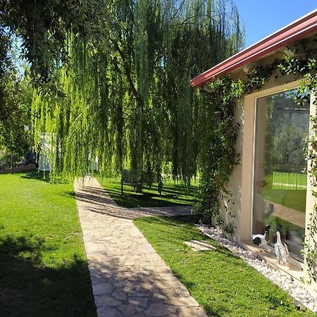 B&B Volver Peschici Dış mekan fotoğraf