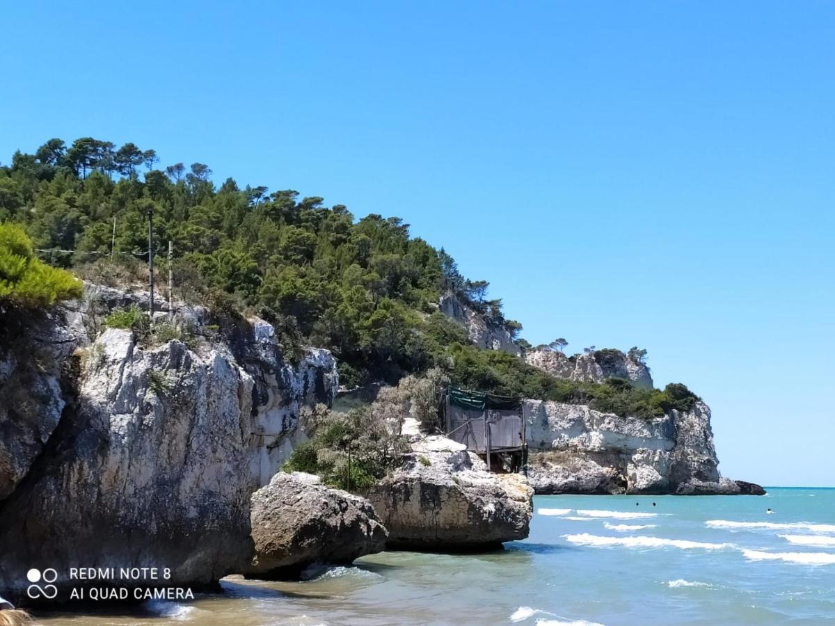 B&B Volver Peschici Dış mekan fotoğraf