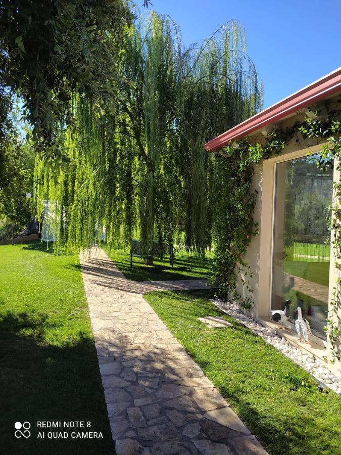 B&B Volver Peschici Dış mekan fotoğraf