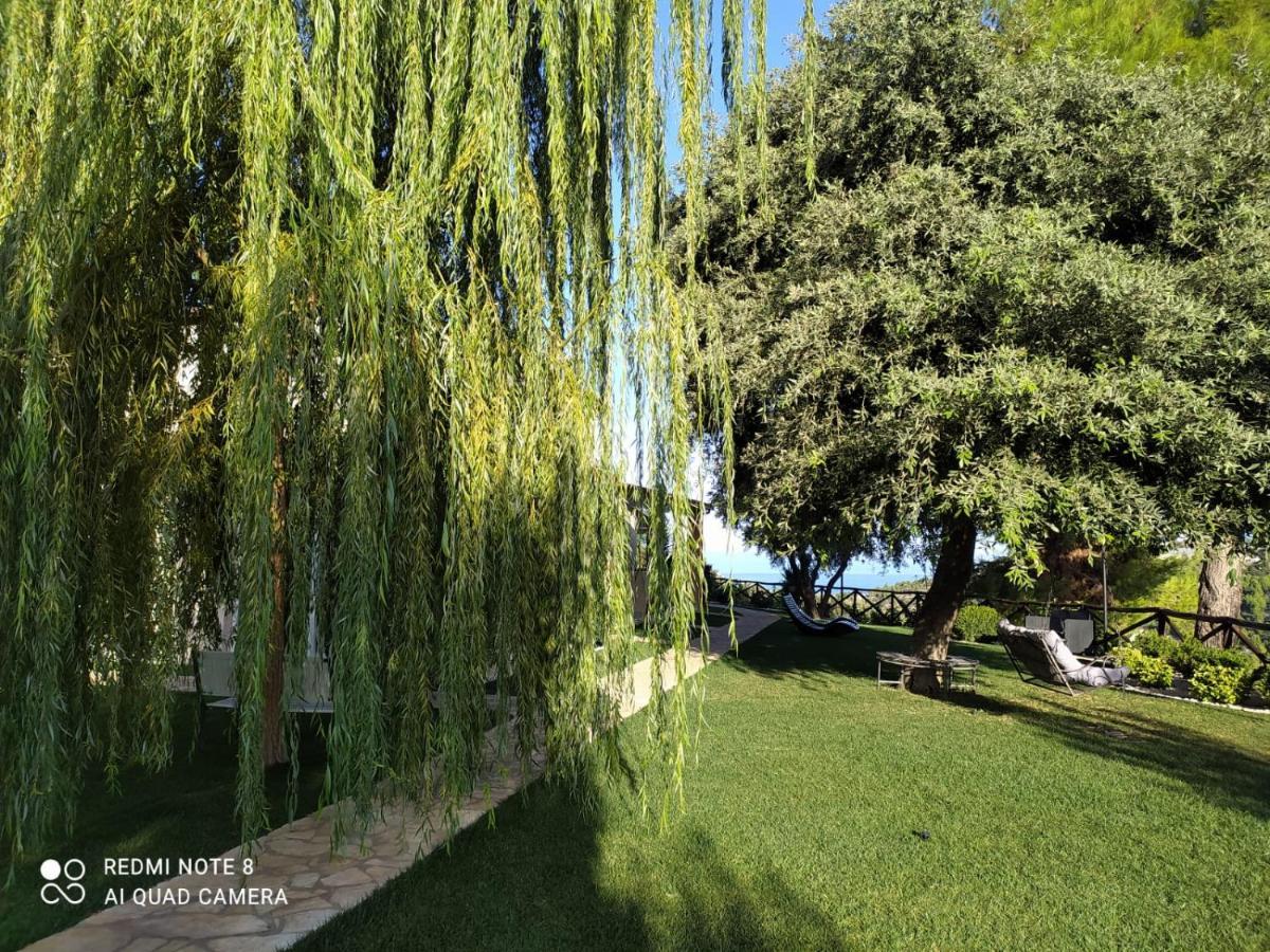 B&B Volver Peschici Dış mekan fotoğraf
