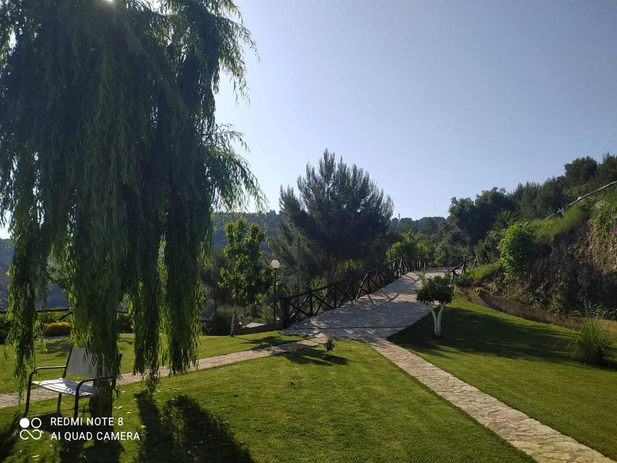 B&B Volver Peschici Dış mekan fotoğraf